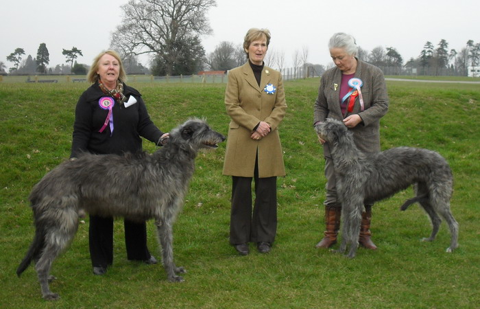 Horley & District Show Winners